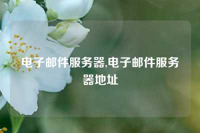 电子邮件服务器,电子邮件服务器地址