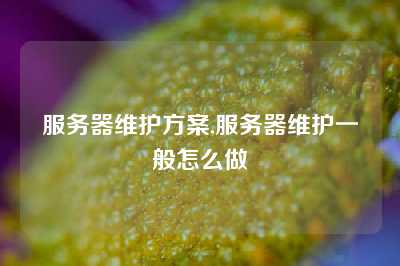 服务器维护方案,服务器维护一般怎么做