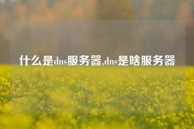 什么是dns服务器,dns是啥服务器
