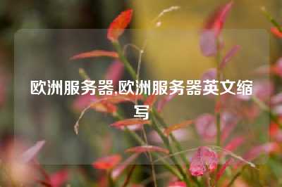 欧洲服务器,欧洲服务器英文缩写
