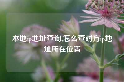 本地ip地址查询,怎么查对方ip地址所在位置