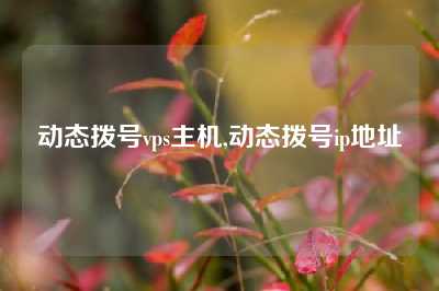 动态拨号vps主机,动态拨号ip地址