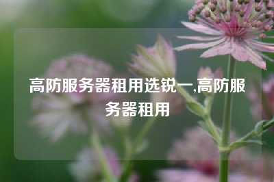 高防服务器租用选锐一,高防服务器租用