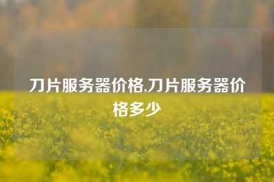 刀片服务器价格,刀片服务器价格多少