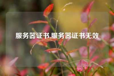 服务器证书,服务器证书无效