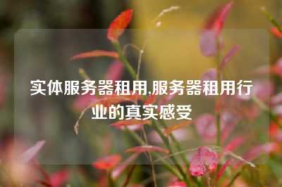 实体服务器租用,服务器租用行业的真实感受