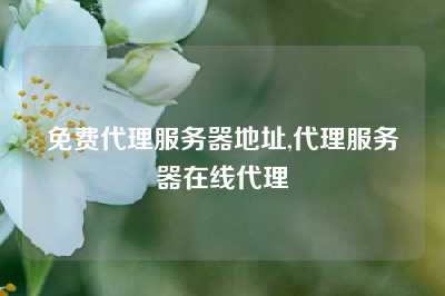 免费代理服务器地址,代理服务器在线代理