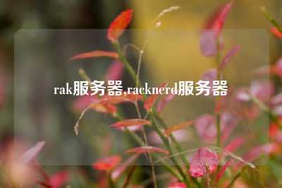 rak服务器,racknerd服务器