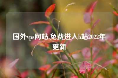国外vps网站,免费进入b站2022年更新
