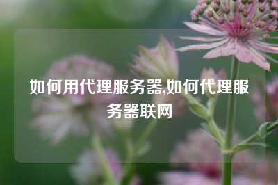 如何用代理服务器,如何代理服务器联网