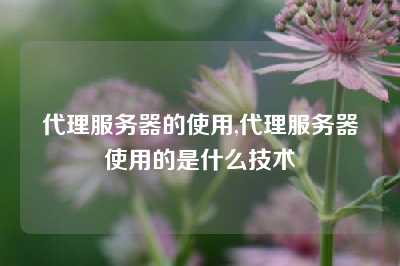 代理服务器的使用,代理服务器使用的是什么技术