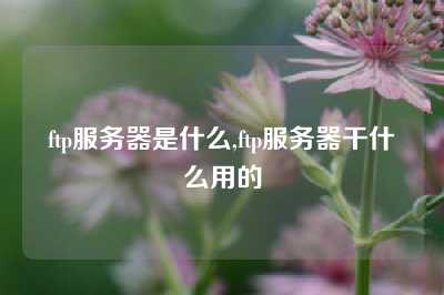 ftp服务器是什么,ftp服务器干什么用的