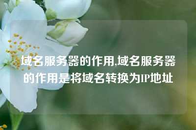 域名服务器的作用,域名服务器的作用是将域名转换为IP地址