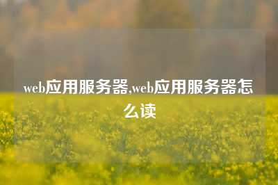web应用服务器,web应用服务器怎么读