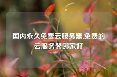 国内永久免费云服务器,免费的云服务器哪家好