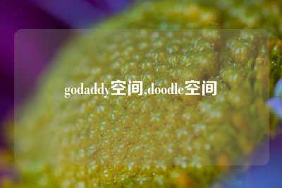 godaddy空间,doodle空间