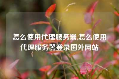 怎么使用代理服务器,怎么使用代理服务器登录国外网站