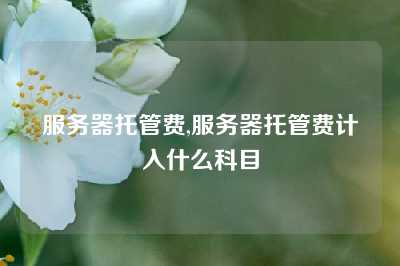 服务器托管费,服务器托管费计入什么科目