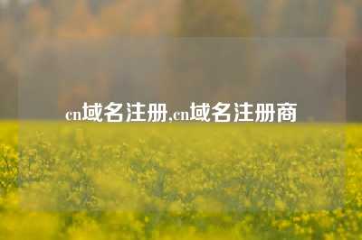 cn域名注册,cn域名注册商