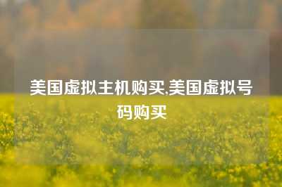 美国虚拟主机购买,美国虚拟号码购买