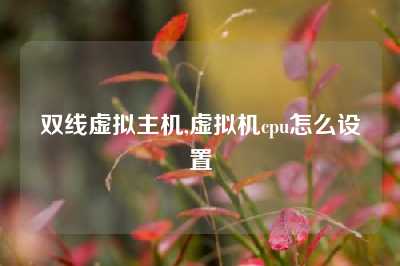 双线虚拟主机,虚拟机cpu怎么设置