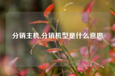 分销主机,分销机型是什么意思