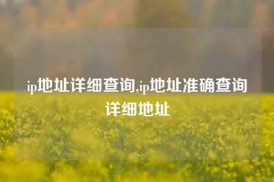 ip地址详细查询,ip地址准确查询详细地址