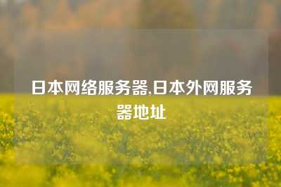 日本网络服务器,日本外网服务器地址