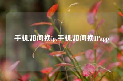 手机如何换ip,手机如何换IPapp