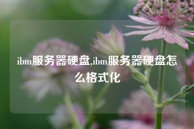 ibm服务器硬盘,ibm服务器硬盘怎么格式化