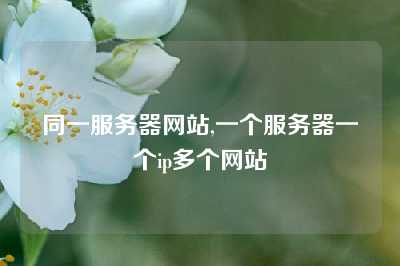 同一服务器网站,一个服务器一个ip多个网站