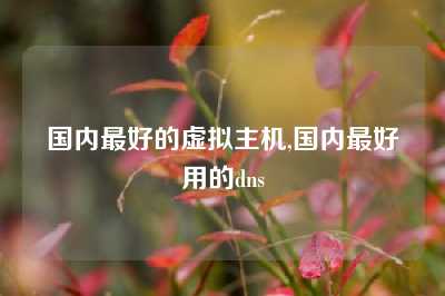 国内最好的虚拟主机,国内最好用的dns