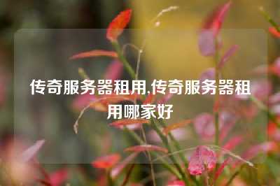 传奇服务器租用,传奇服务器租用哪家好