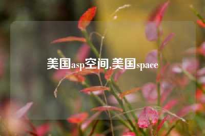 美国asp空间,美国space