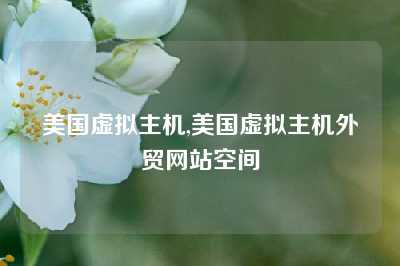 美国虚拟主机,美国虚拟主机外贸网站空间