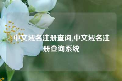 中文域名注册查询,中文域名注册查询系统