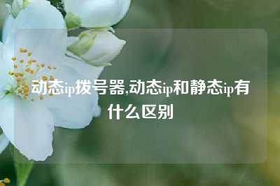 动态ip拨号器,动态ip和静态ip有什么区别