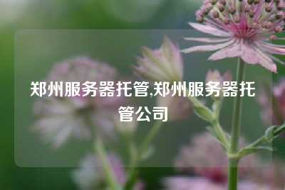 郑州服务器托管,郑州服务器托管公司