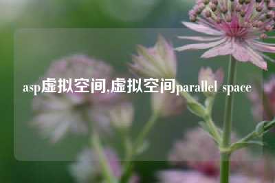 asp虚拟空间,虚拟空间parallel space
