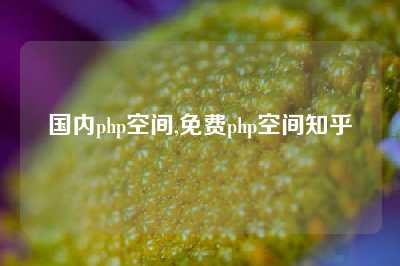 国内php空间,免费php空间知乎