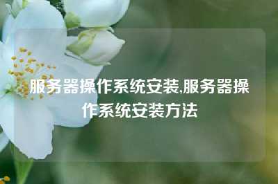 服务器操作系统安装,服务器操作系统安装方法