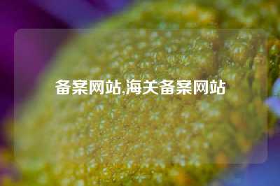 备案网站,海关备案网站