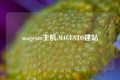 magento主机,MAGENTO建站