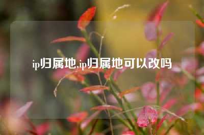 ip归属地,ip归属地可以改吗