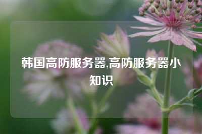 韩国高防服务器,高防服务器小知识