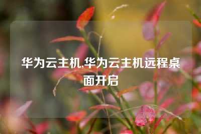 华为云主机,华为云主机远程桌面开启