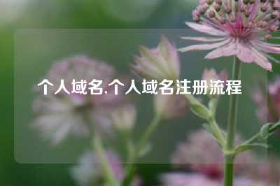 个人域名,个人域名注册流程