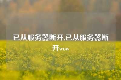 已从服务器断开,已从服务器断开wow