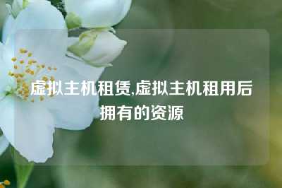 虚拟主机租赁,虚拟主机租用后拥有的资源