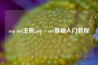 asp net主机,asp·net基础入门教程